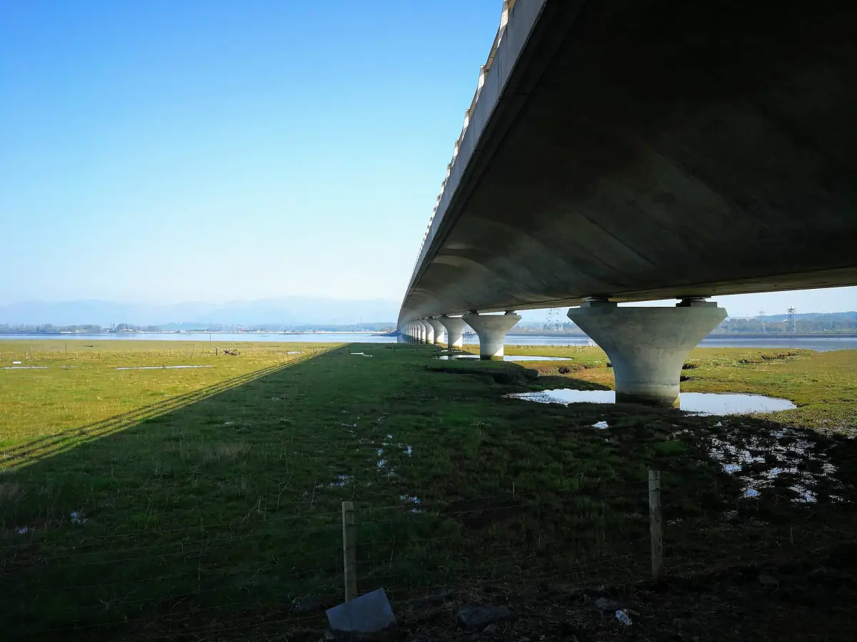 Underside of the Clackmannanshire Bridge on its tall concrete piers over marsh
