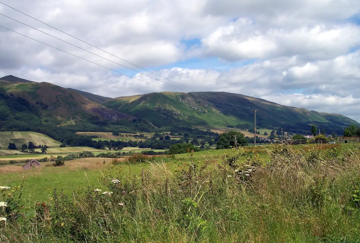 Green ridges of the Ochil Hills seen across summer pasture