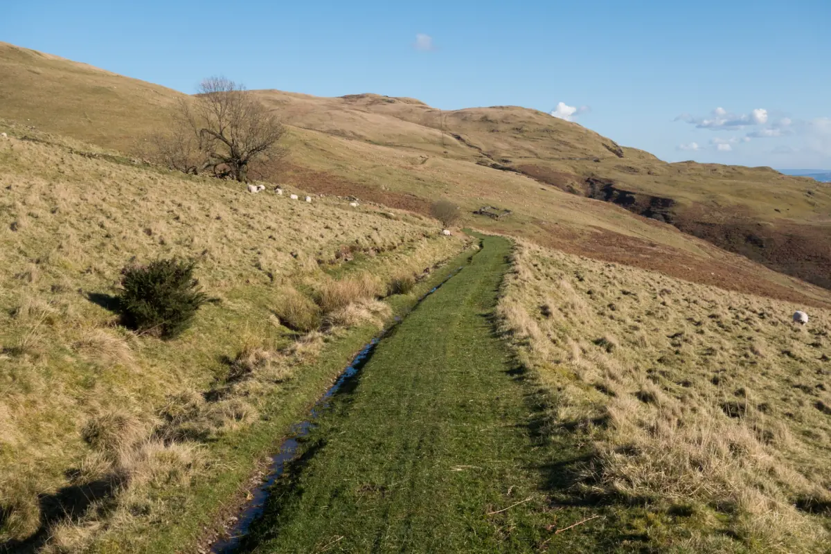 Grassy hill track climbing the golden hillside in the Ochils